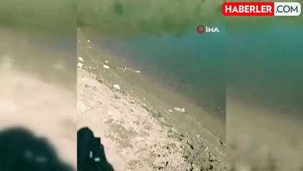 Elazığ'da yılanın balık avı kamerada
