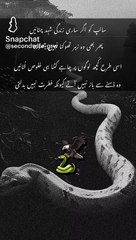 True ❣ |Islami |Islamic status |what's app status |motivation |viral |shorts