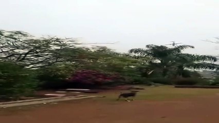 AVIÃO DA VOEPASS CAI NO INTERIOR DE SÃO PAULO