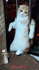 Akala hain  #bollywood #song #youtube #0010 @star_14672