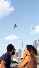 Dolphins And Whales Flying Over Dubai, United Arab Emirates