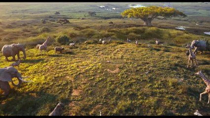 Mufasa: El rey león - Tráiler oficial español