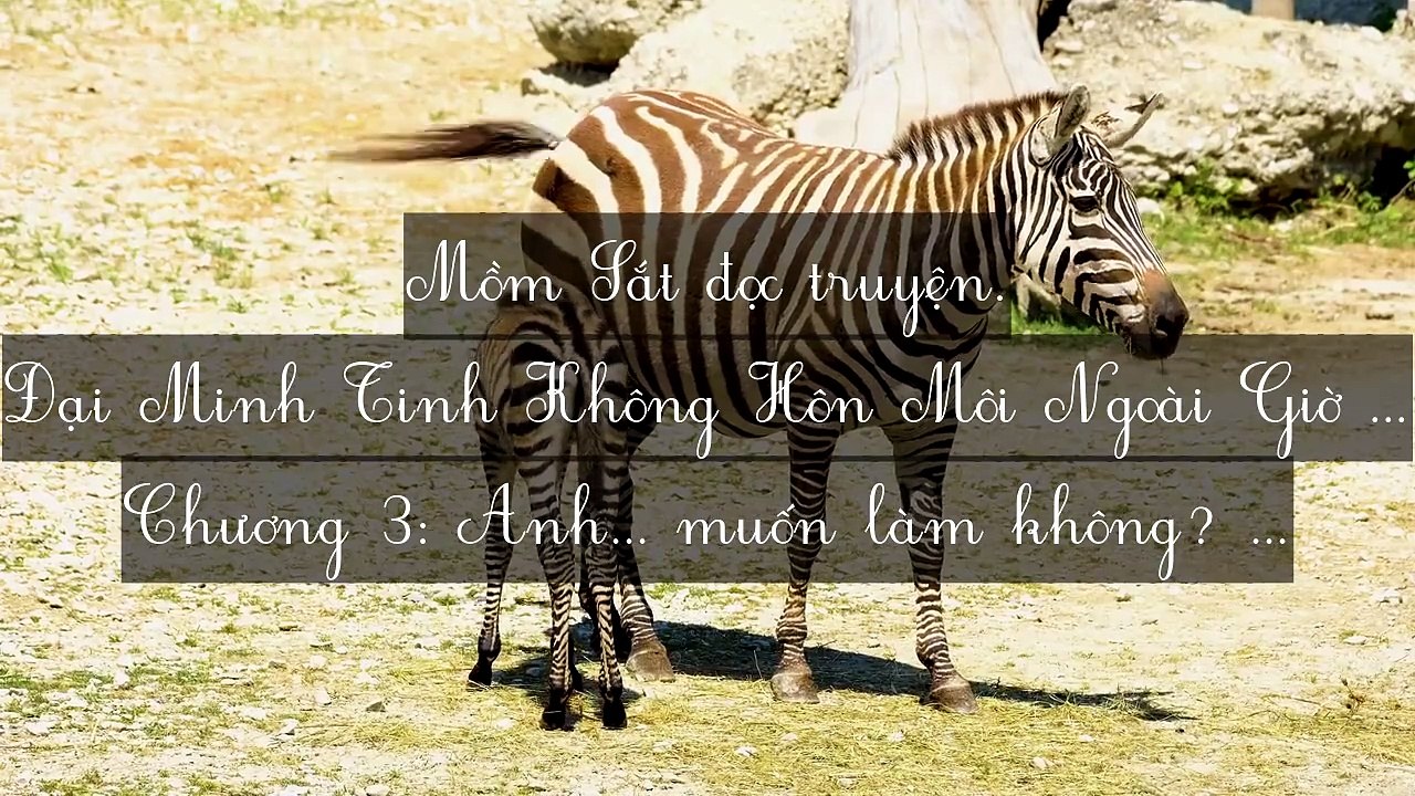 Mới 2024 Chương 1-9: Đại Minh Tinh Không Hôn Môi Ngoài Giờ Làm Việc