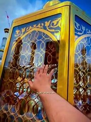 ما شاءاللہ بول کر آگے شیئر کریں شکریہ