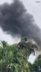 Moment plane FALLS from the sky and crashes in Brazil's Sao Paulo