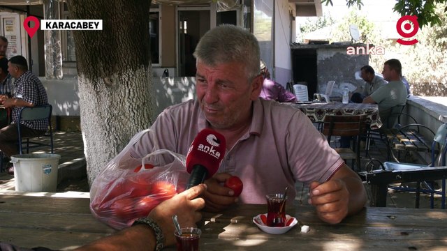 Karacabeyli Domates Üreticileri İsyanda!