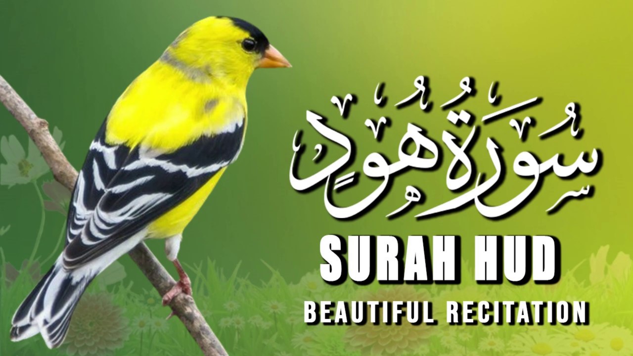 Beautiful Recitation of Surah Hood Full |سورة هود| Tilawat e Quran |Al Quran |Quran Majeed