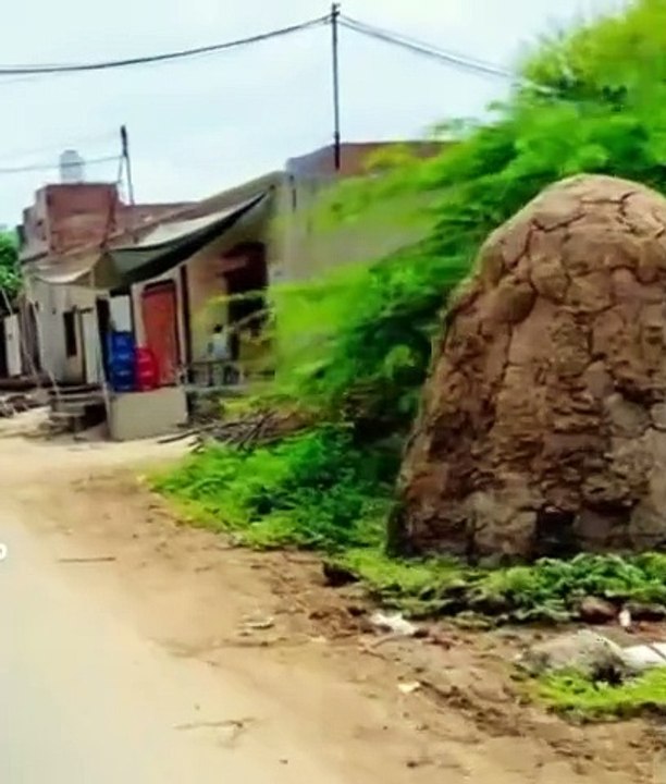 Village street very unique and wonderful village life in Punjab India and Pakistan very beautiful view of village
