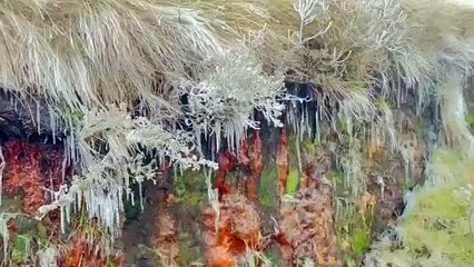 Cidade mais fria do Brasil tem neve, sensação de -19ºC e paisagem congelada