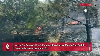 4 ilde  orman yangını!  Havadan ve karadan müdahale