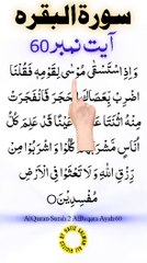 Al-Quran - Surah 2 - Al-Baqara - Ayah 60 | hafiz salman ali