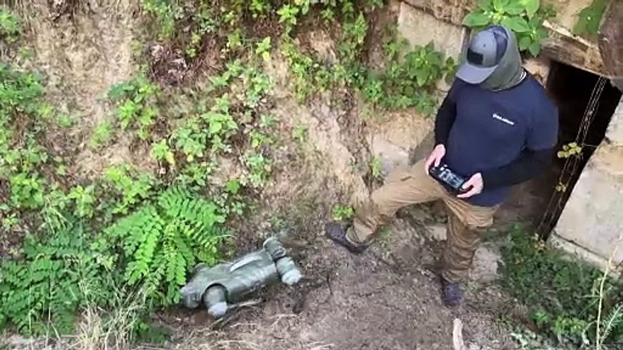 Ukraine: Roboterhunde helfen Soldaten an der Front