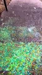 Crushing Crunchy  Soft Things  Breaking glass bottles