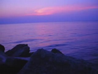 Misery Loves Its Company