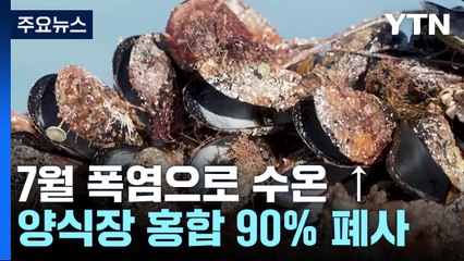 기후 변화로 농어업 피해 극심...마사이족 생계수단도 바꿔 / YTN