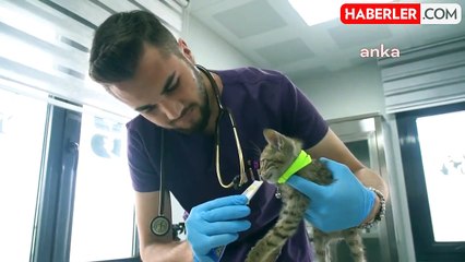 İtfaiye eri kediye hayatını kurtardı
