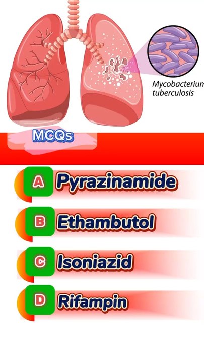Tuberculosis medication question answers mcqs #antiboitics #medication #medicine #drugs #pharmacology #TB #lungs #pharmacologyexam #health #infection #3dmedico