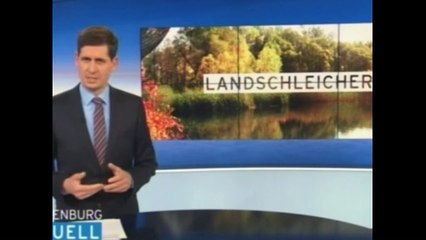 Bericht über das Dorf Damme im Havelland((Seh Hör Real Life Tainment Tv Damme Video)