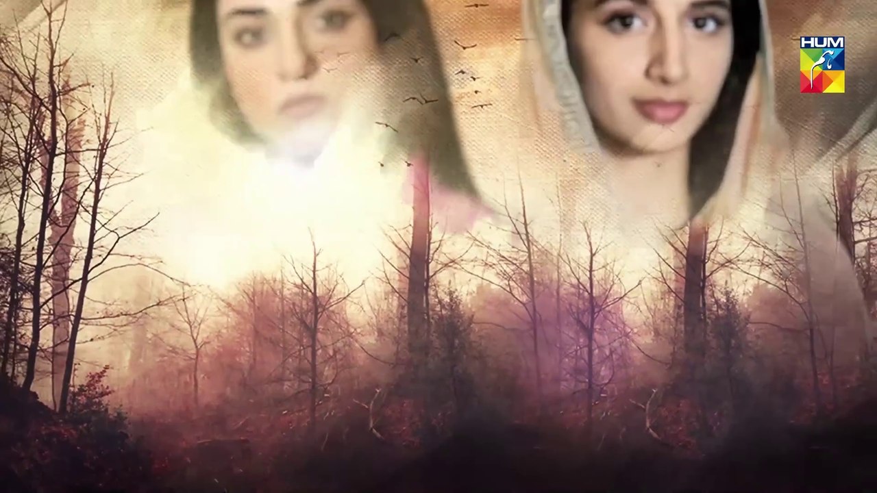 Sabaat Episode 5 | English Sub | Digitally Presented by Master Paints | HUM TV Drama | 26 Apr 2020