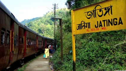 जटिंगा का रहस्य | क्यों हर साल मरते हैं हजारों पक्षी Jatinga ka Rahasya | khula Raj