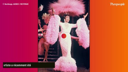 Joséphine Baker "zappée" de la cérémonie d'ouverture des JO 2024 : la colère de son fils se fait entendre