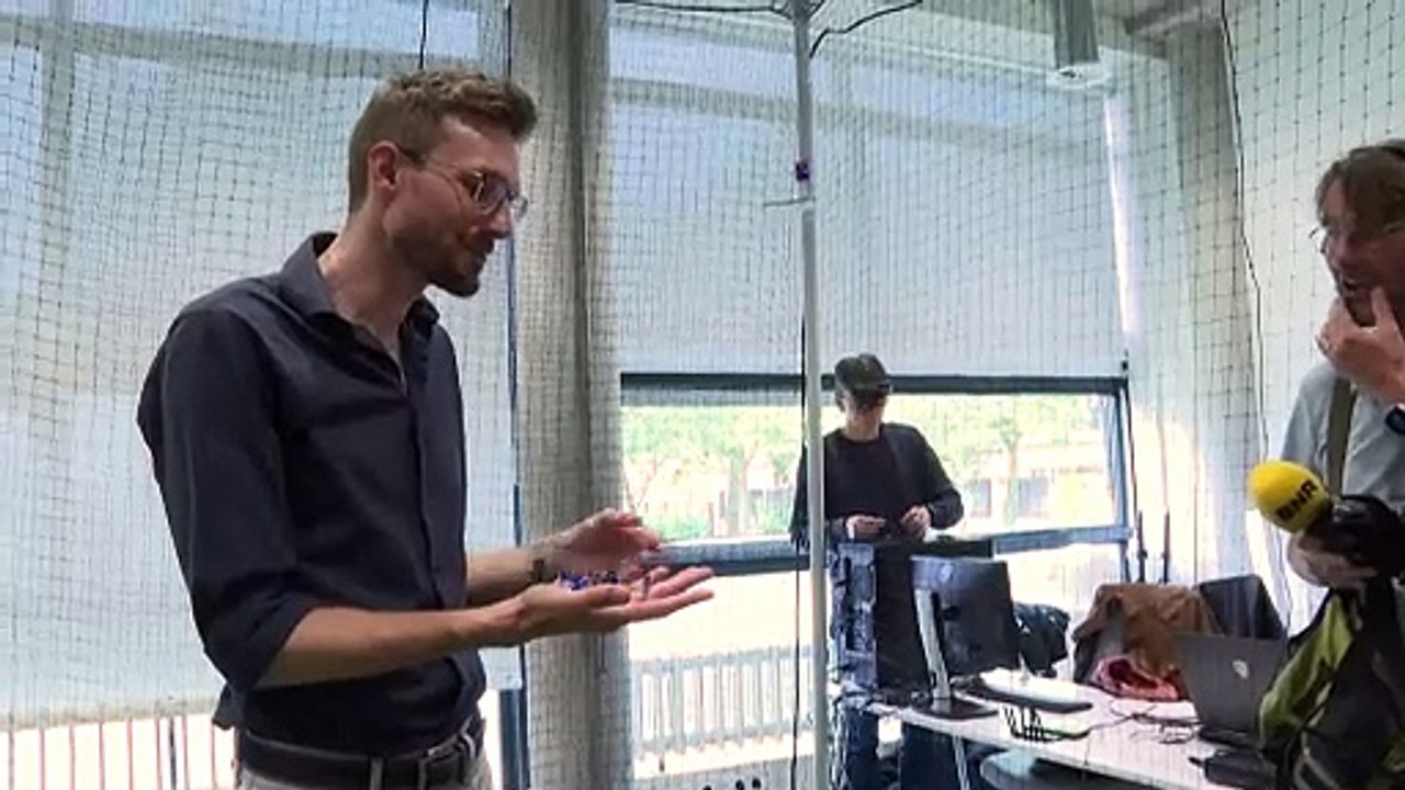 Cientistas se inspiram nas aves e nas abelhas para fazer drones voarem