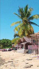 Nosy Komba: Authentic Paradise and Vibrant Colors