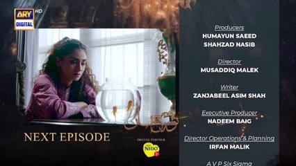 Noor Jahan Episode 24 - Teaser - ARY Digital