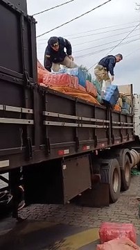 PRF no Paraná apreende 10 toneladas de maconha e faz a maior apreensão do ano no estado