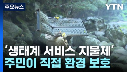 주민이 직접 환경 보호...'생태계 서비스 지불제' / YTN