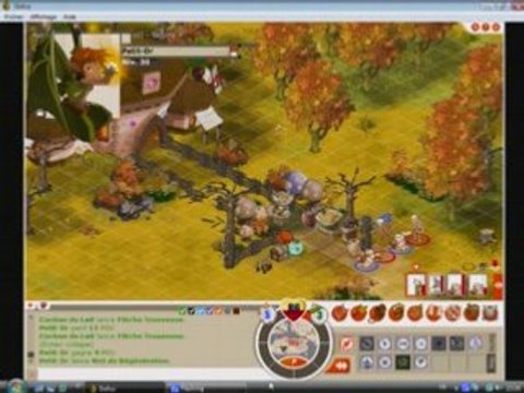 dofus silouate up niveau 31 eniripsa