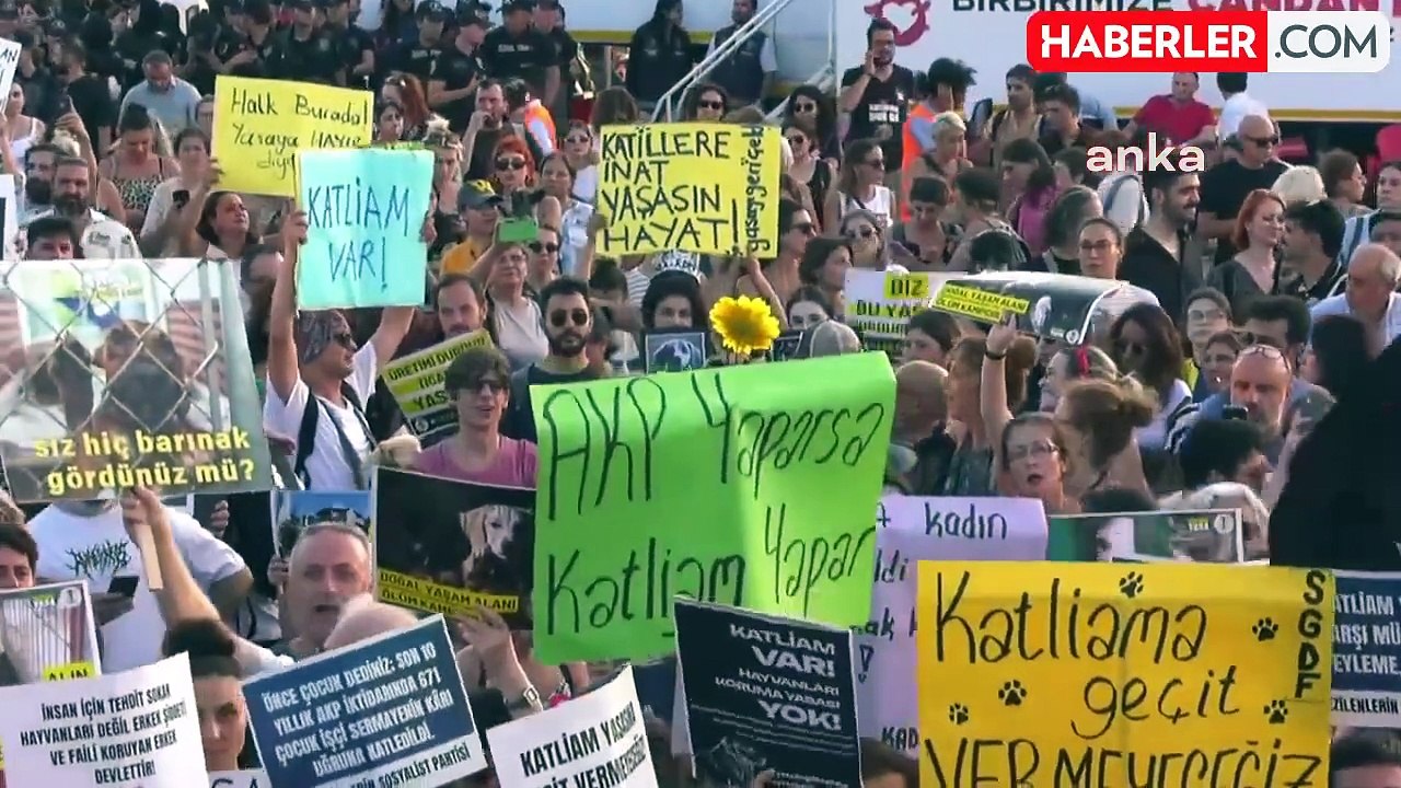 Yaşam Hakkı Savunucuları Hayvanları Koruma Kanunu'na Karşı Eylemlerine Devam Ediyor
