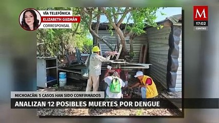 En Michoacán, investigan 12 muertes relacionadas con el dengue