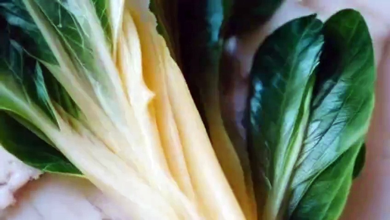 Green leaves convert into pakistani flag. Pakistan's independence day