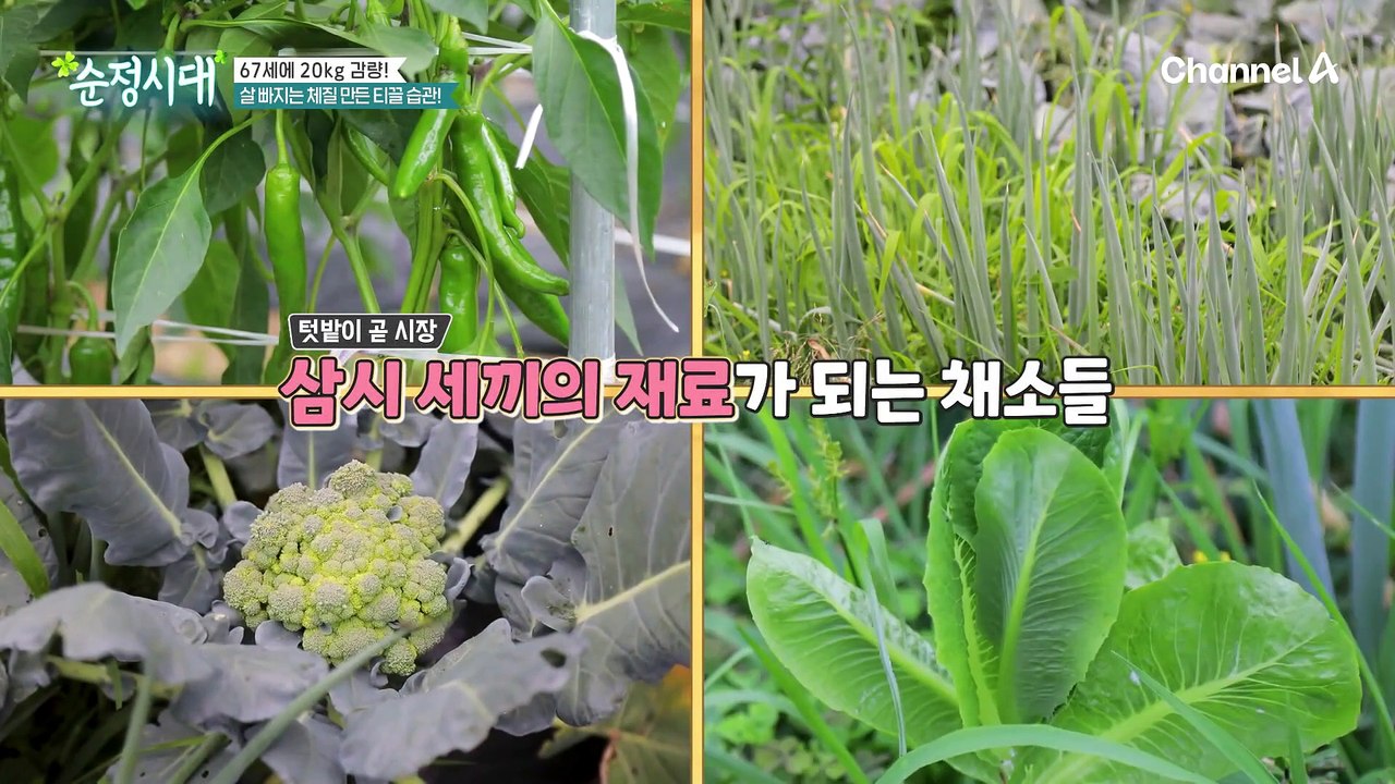 살 빠지는 체질 만드는 식단 & 식습관은? 간단 전신 운동까지!