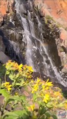 بہت ہی خوب صورت ویڈیو ہے