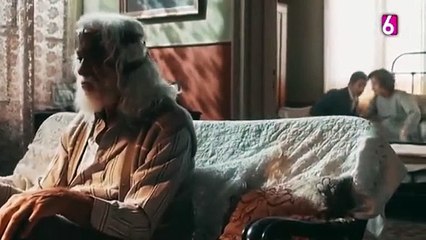 51. Amor Perfecto (Amor Perfeito), en español