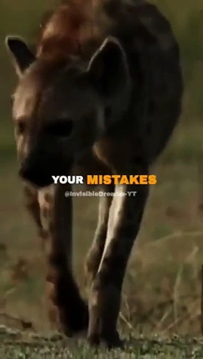 Attitude - Lion King - Ruthless