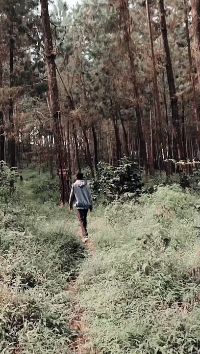 PENAMPAKAN YANG SANGAT ANEH!!!