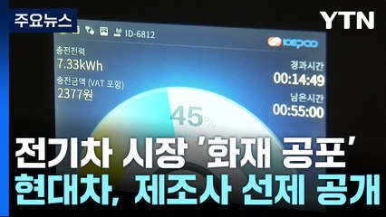 '화재 공포' 덮친 전기차 시장...업계 대책 마련 중 / YTN