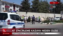 Kilis'te başıboş at zincirleme kazaya neden oldu