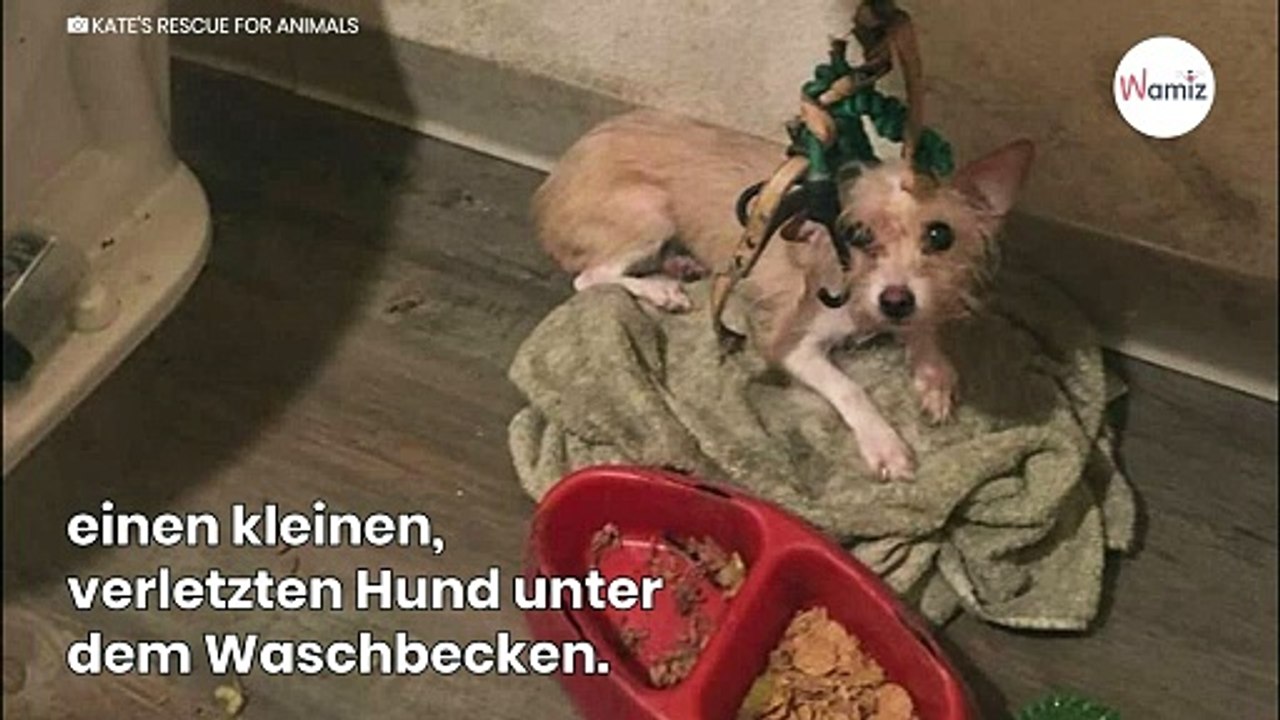 Mann besichtigt eine leere Wohnung: Im Badezimmer trifft ihn der Schlag!