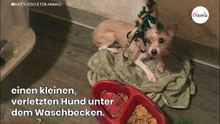 Mann besichtigt eine leere Wohnung: Im Badezimmer trifft ihn der Schlag!