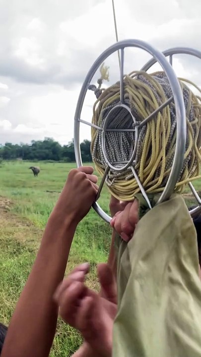 Học sinh thả diều sáo 4 mét đuôi cá chiến giông và cái kết