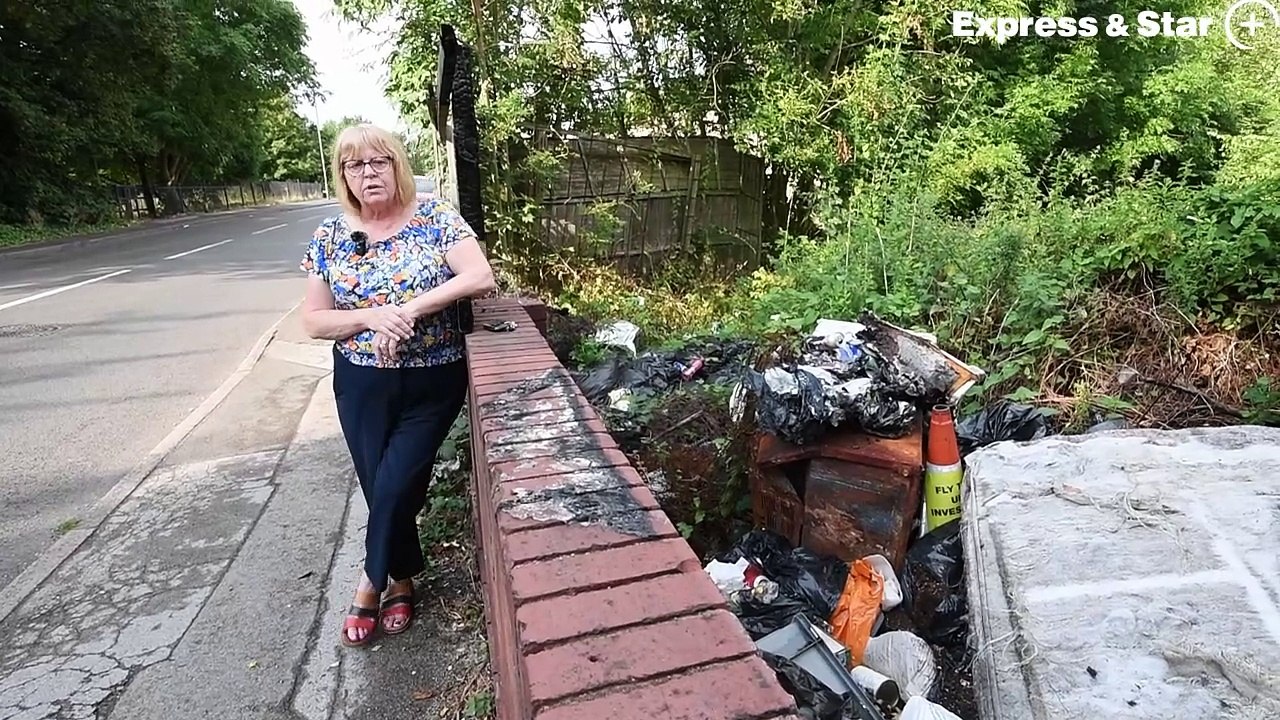 Cllr Chris Bott wants something down with an area off Bull Lane, Moxley.