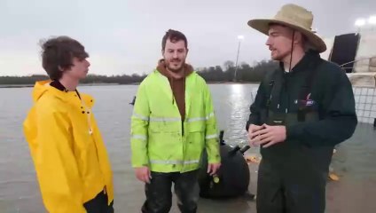 Protect The Yacht, Keep It!