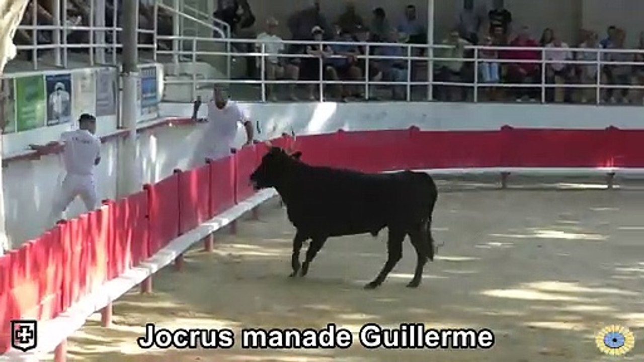 2024 07 27 4 Jocrus