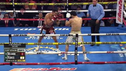 Lindolfo Delgado vs Bryan Flores (10-08-2024) Full Fight