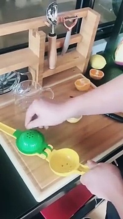 Fresh Presser Fruit Extractor Orange Citrus