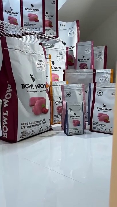 But she didnt think about the most important thing   cat cats funny